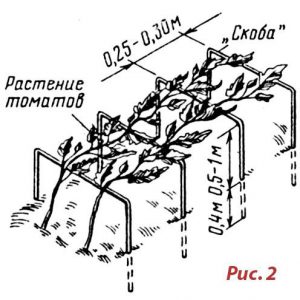 Опора для помидора - на лежнях