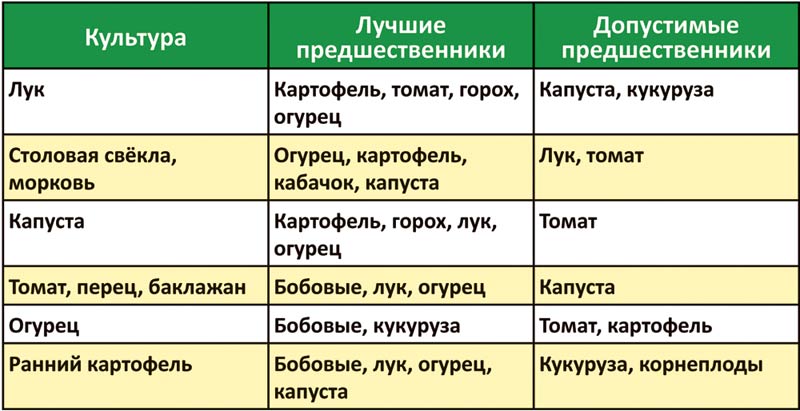 Предшественники овощных культур