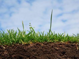 Как легко и быстро создать плодородный слой почвы