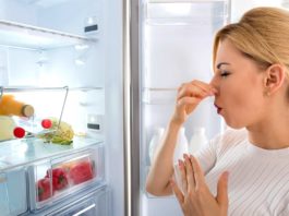 Неприятный запах из холодильника